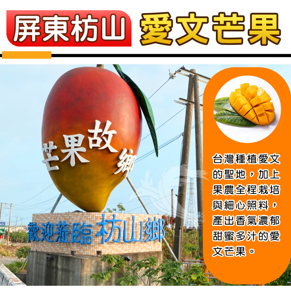 屏東枋山產地直送-愛文芒果